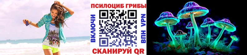 продажа наркотиков  Нерехта  Псилоцибиновые грибы Magic Shrooms 